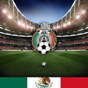 Meet your Posher, Luis